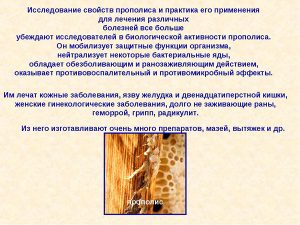 Полезные свойства прополиса