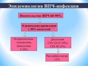 Эпидемиология ВПЧ