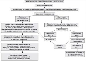 Ведение беременных при хроническом гепатите 