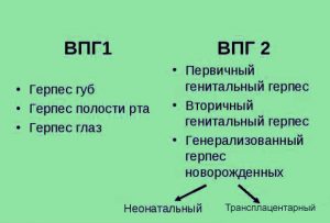 Классификация ВПГ