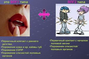 Типы ВПГ