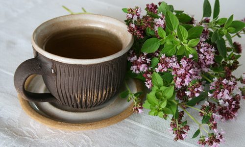 Отвар душицы