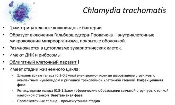 При неспецифической форме воспаления возбудителями цистита являются патогенные бактерии, например, хламидии