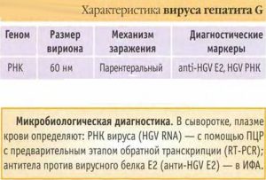 Характеристика вируса