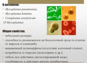 Общие свойства микробов