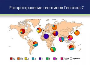 Распространенность генотипов вируса