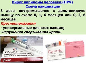 Вакцинация от ВПЧ
