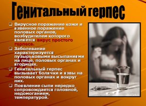 Понятие генитального герпеса