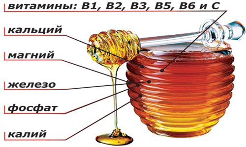 Витамины в меде