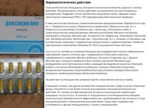 Фармакологическое действие Доксициклина