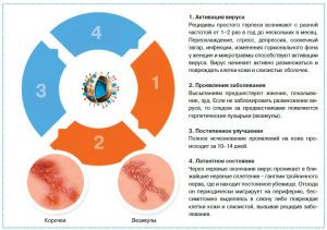 Особенности инфекции