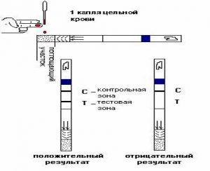 Результаты теста