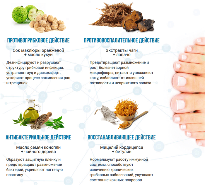 Состав геля Exolocin