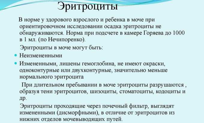 Воспалительные процессы в мочевом пузыре могут привести к нарушению целостности слизистой оболочки. В результате этого резко возрастает количество эритроцитов