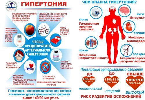 Осторожное применение перги при гипертонии