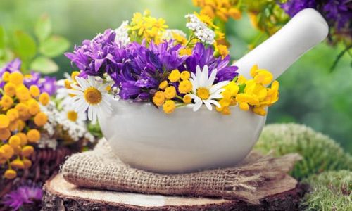 Народное лечение миомы