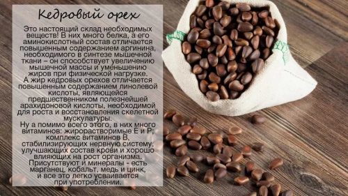 Полезные свойства кедровых орехов
