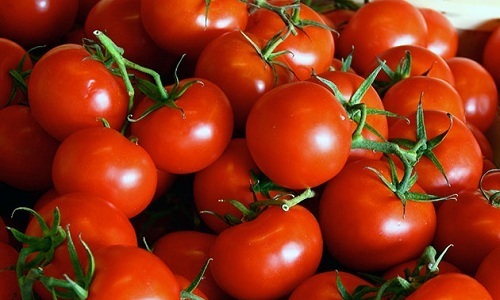 Не стоит при цистите есть помидоры
