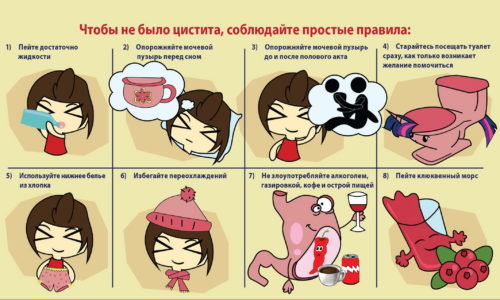 Выполнение этих рекомендаций поможет избежать цистита, даже если человек страдает частыми простудами