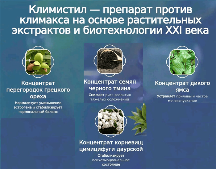 Состав Климистила