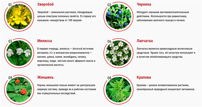 Что входит в состав Суставитина
