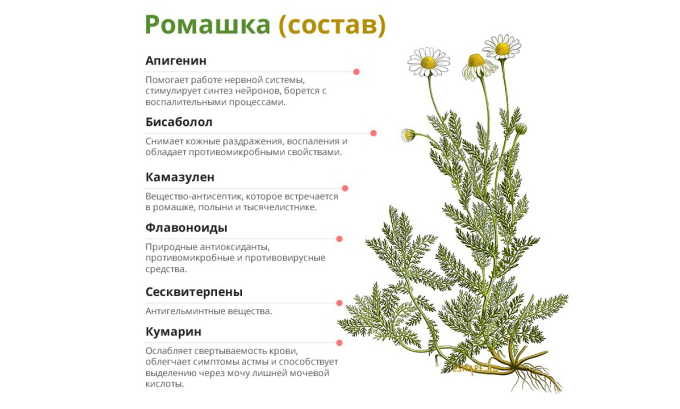 Наиболее часто для лечения цистита используют ромашку