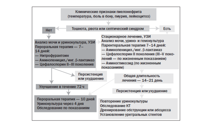 Схема лечения пиелонефрита