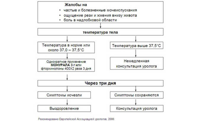 Схема лечения цистита. Врач подбирает препарат в зависимости от индивидуальных особенностей организма пациента, от его веса и возраста