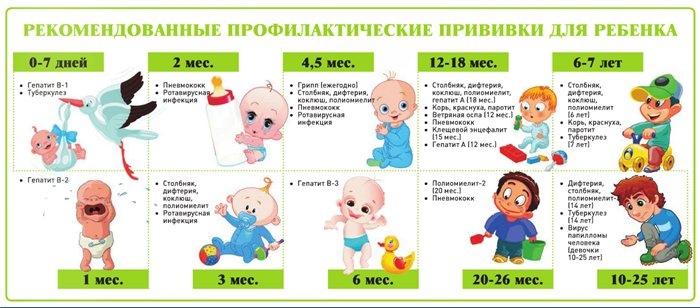 Рекомендованные профилактические прививки для ребенка