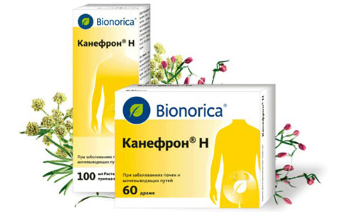 В комплексную терапию включают Канефрон