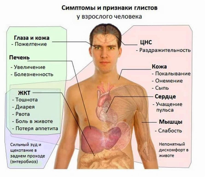 Признаки наличия глистов
