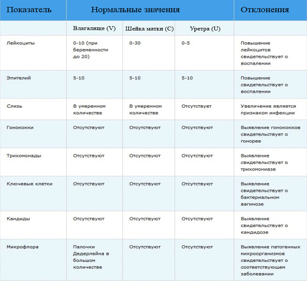 Норма мазка на микрофлору