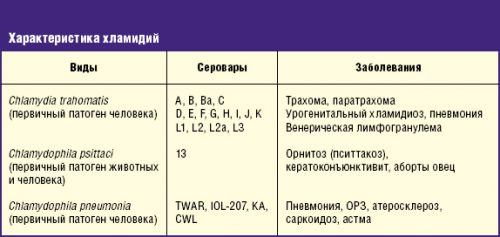 Характеристика хламидий