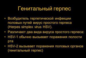 Особенности генитального герпеса