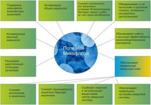 Полезная микрофлора