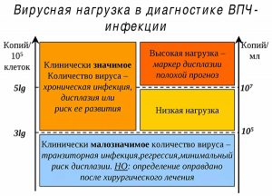 Вирусная нагрузка в диагностике ВПЧ