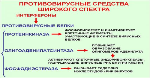 Противовирусные препараты 
