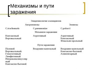 Механизмы и пути заражения