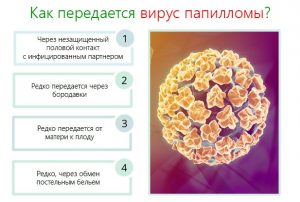 Способы передачи вируса