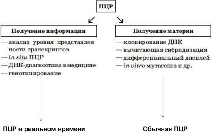 Классификация ПЦР