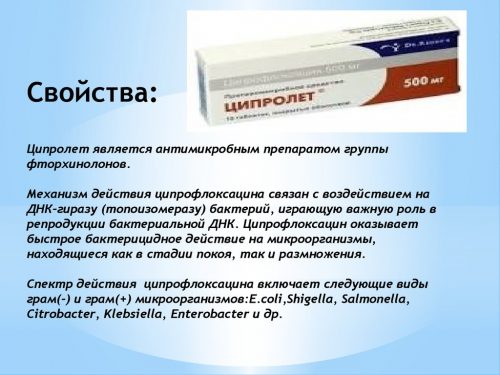 Лечебные свойства Ципролета