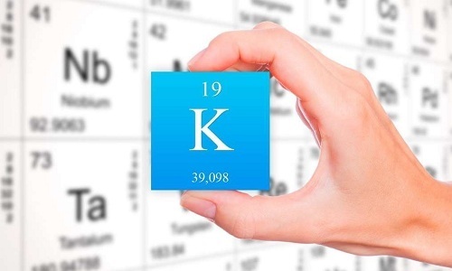 Корень и листья растения отличаются наличием калия, который помогает улучшить состояние здоровья человека