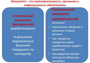 Виды иммунитета
