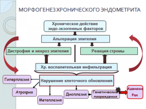 Морфогенез заболевания