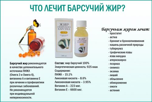 Применение барсучьего жира