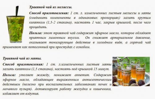Рецепты чая из мелиссы и мяты