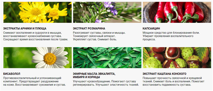 Состав Хондролайн