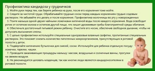 Профилактика молочницы у грудничков