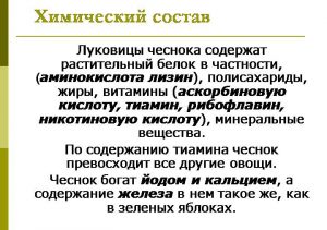 Химический состав луковицы чеснока