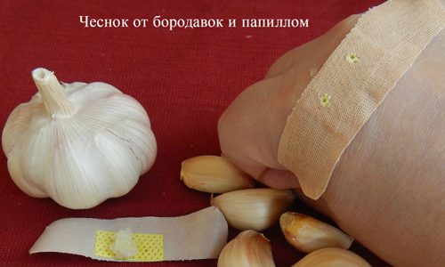 Чесночный пластырь